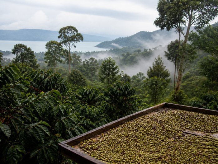 Mist over the volcanic highlands around Lake Toba in Sumatra